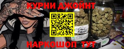спайс Кингисепп