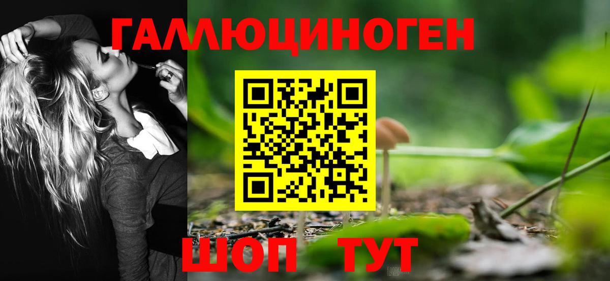 Нерюнгри  Галлюциногенные грибы мицелий  Вход с VPN  Псилоцибиновые грибы мухоморы 