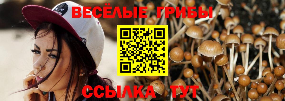 Галлюциногенные грибы GOLDEN TEACHER Нерюнгри